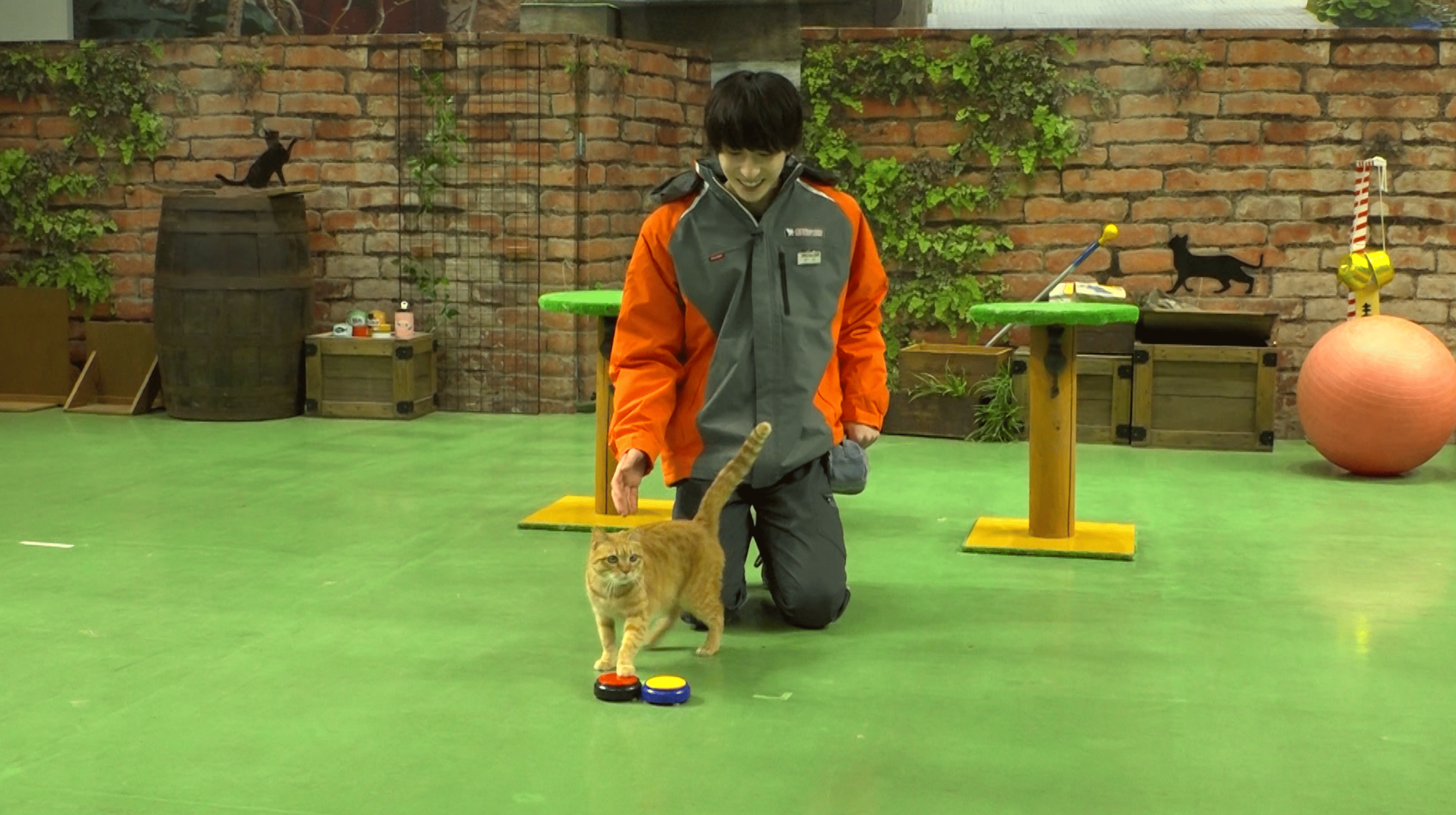 ストイックOCTPATH！_06