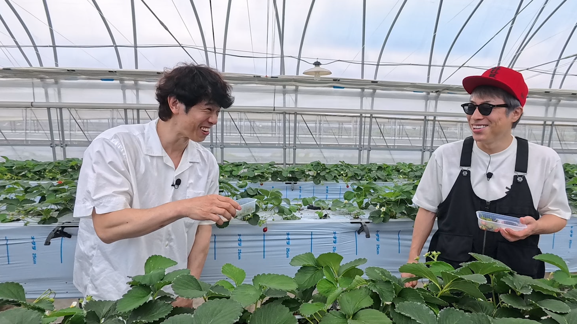 田村淳の夢を叶えるキャンピングカー_23